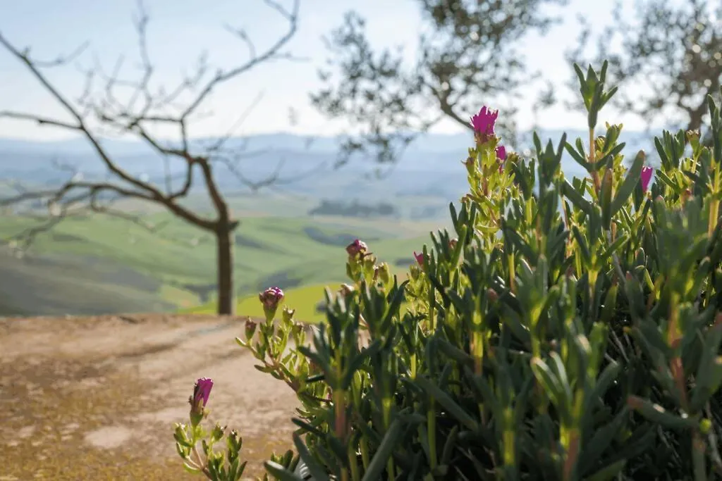 Volterra Relax Apartament W/ Beautiful View Casa al Vento Appartamento